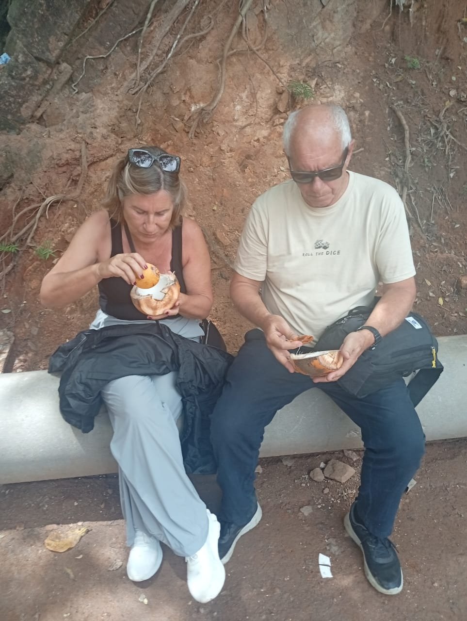 d49bcf6d-6ed3-450d-897e-36d14921f868