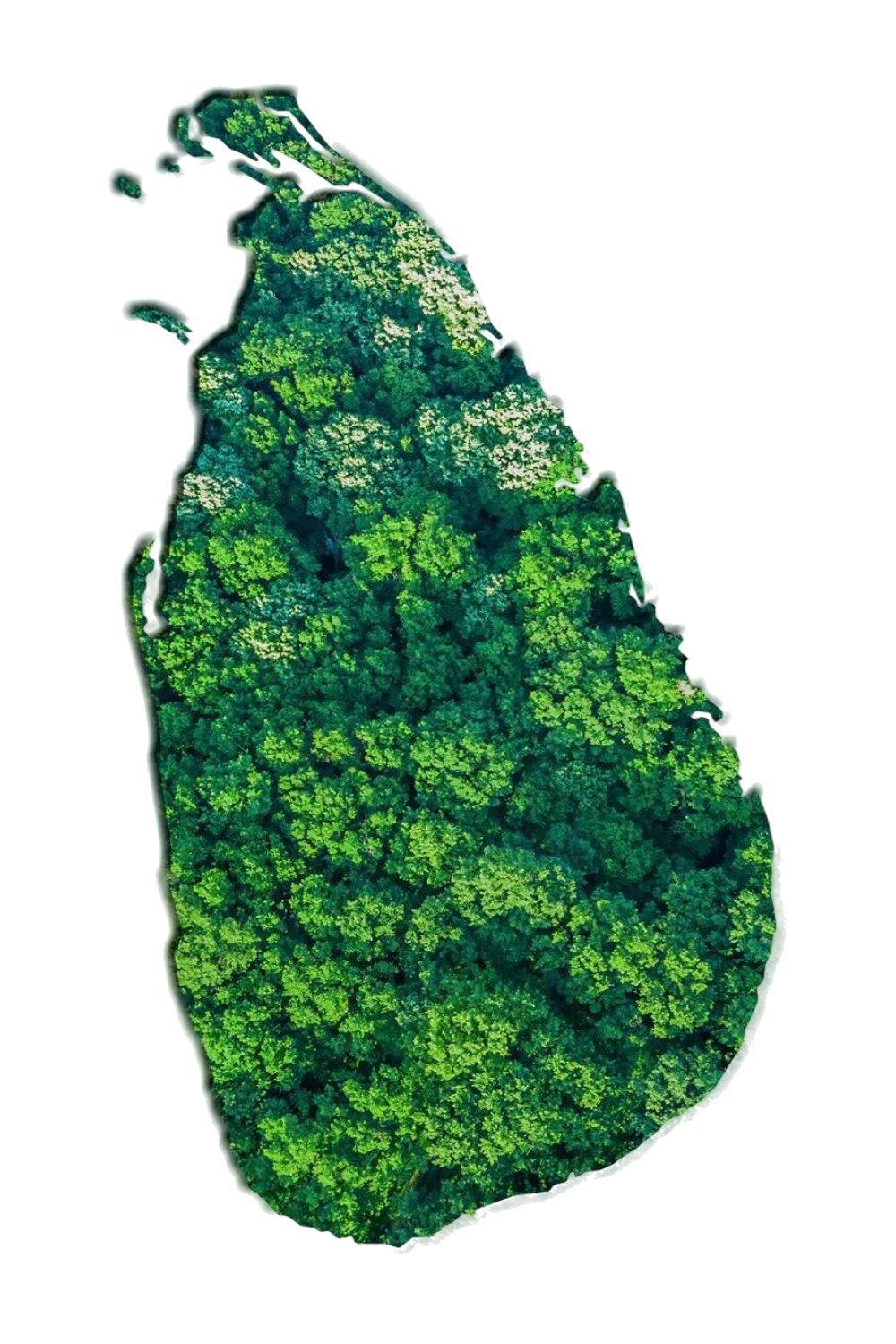 green-forest-map-sri-lanka-white-background